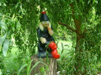 /album/fotogalerie-doplnky-do-zahrad1/vodnik-pod-vrbickou-jpg/